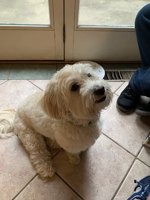 McAfee Animal Hospital Picture 1