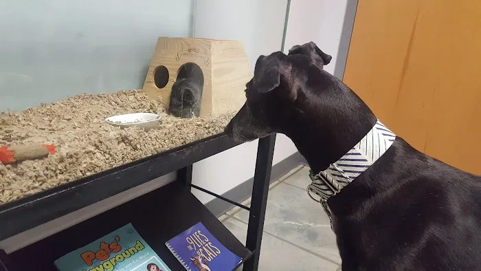McAfee Animal Hospital Picture 5