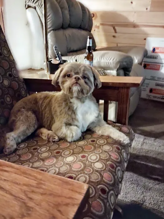 McAfee Animal Hospital Picture 3