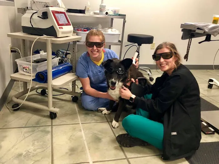 McAfee Animal Hospital Picture 9
