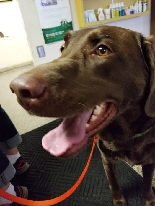 Southlane Veterinary Hospital Picture 5