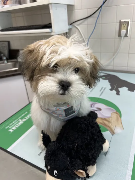 Porter County Pet Clinic Picture 2