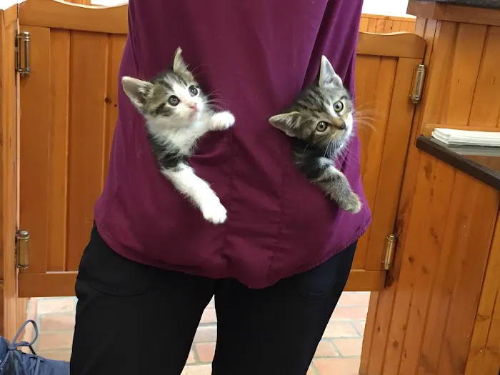Porter County Pet Clinic Picture 7
