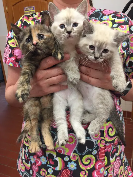 Porter County Pet Clinic Picture 6