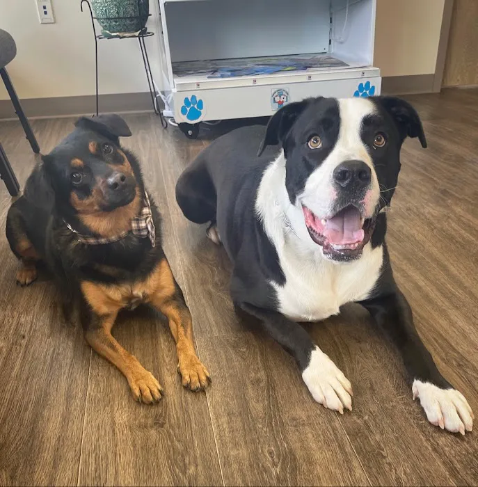 Porter County Pet Clinic Picture 12