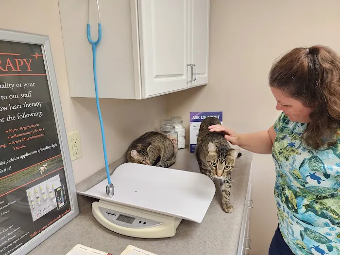Morthland Animal Clinic Picture 3