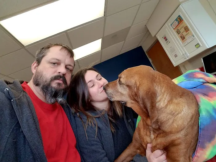 Morthland Animal Clinic Picture 4