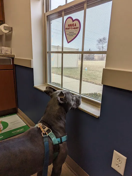 South Creek Animal Hospital Picture 3