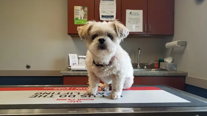 South Creek Animal Hospital Picture 8