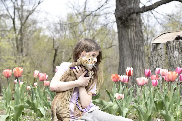 Bluebell Bottoms Farm Picture 1