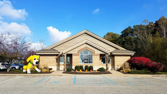 Ark of the Dunes Animal Hospital Picture 5