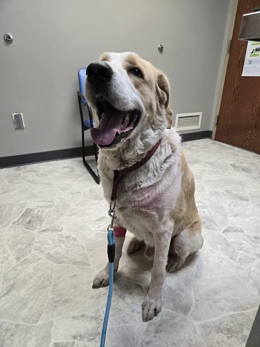 Westchester Animal Clinic Picture 2