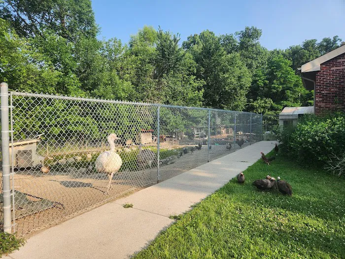 Westchester Animal Clinic Picture 3