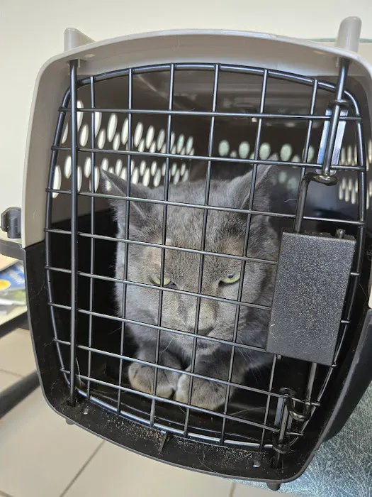 Westchester Animal Clinic Picture 8