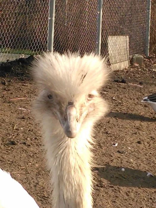 Westchester Animal Clinic Picture 7