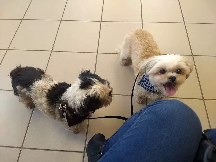 Westchester Animal Clinic Picture 6