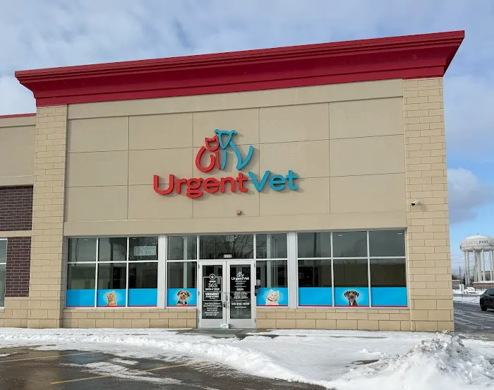 UrgentVet Picture 3