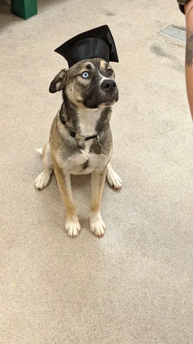 Banfield Pet Hospital Picture 4