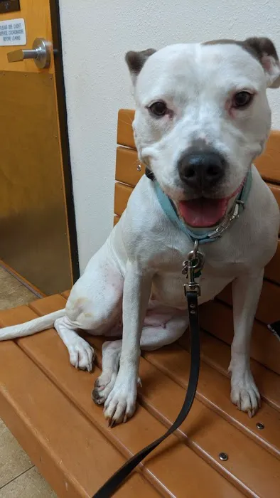 Banfield Pet Hospital Picture 3