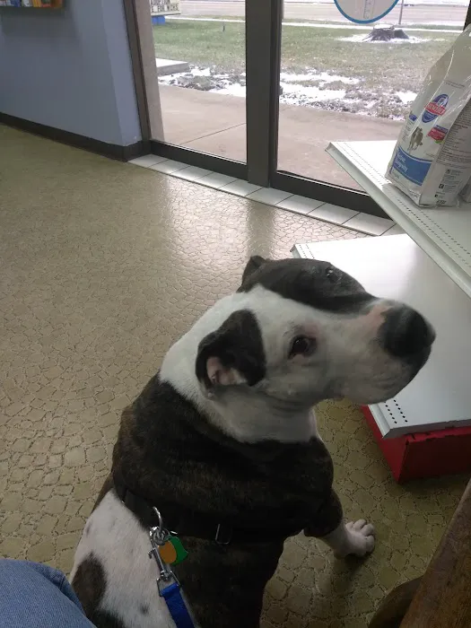 VCA Joliet Animal Hospital Picture 8