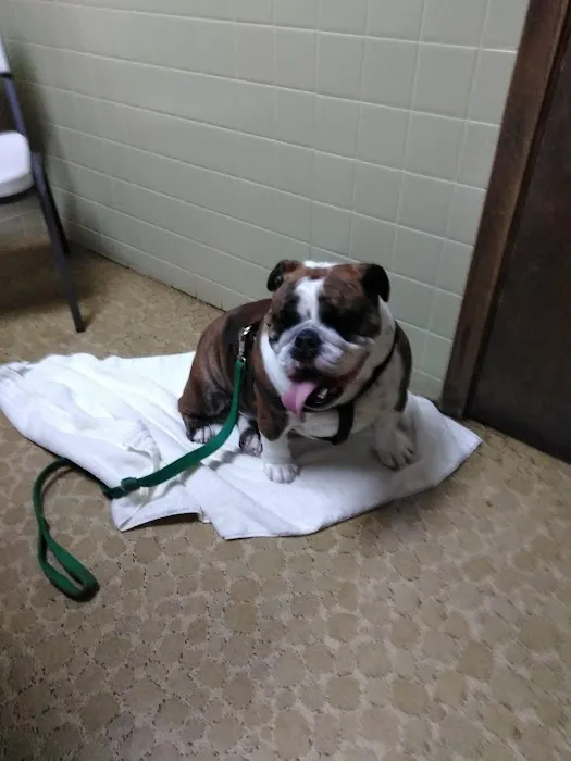 VCA Joliet Animal Hospital Picture 10