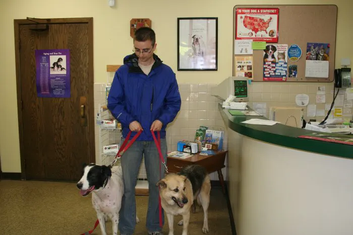 VCA Joliet Animal Hospital Picture 7