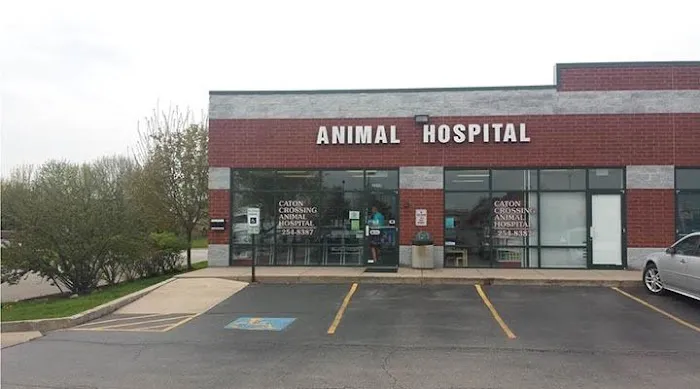 Caton Crossing Animal Hospital Picture 7