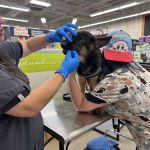 Vetco Vaccination Clinic