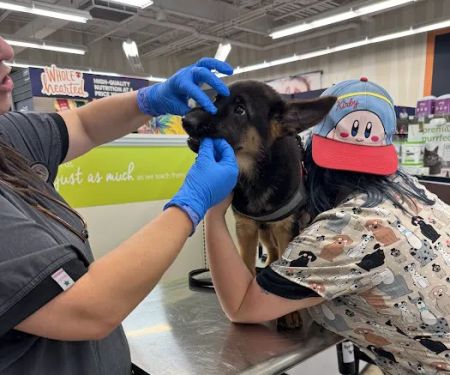 Vetco Vaccination Clinic
