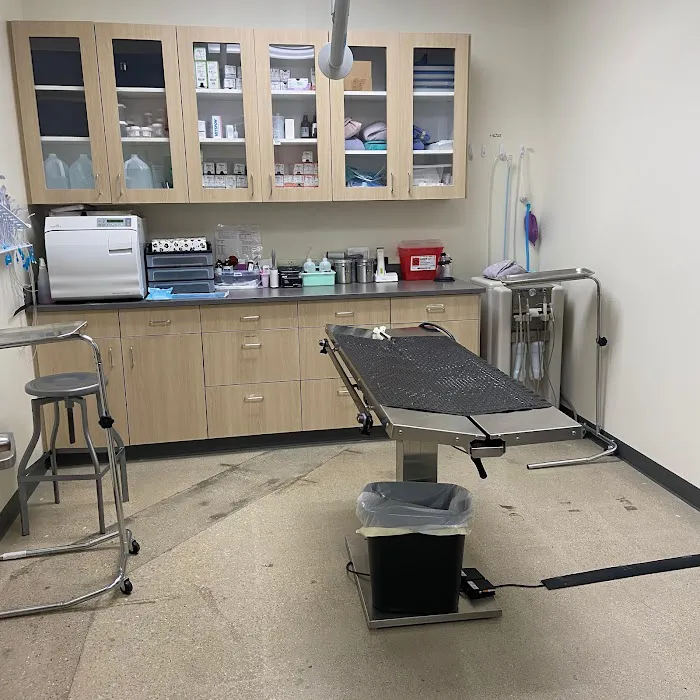 Vetco Total Care Animal Hospital Picture 9