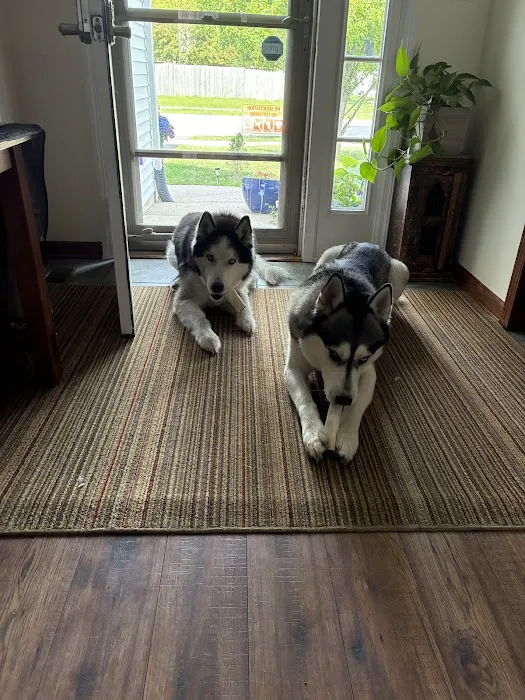 Shorewood Animal Hospital Picture 9
