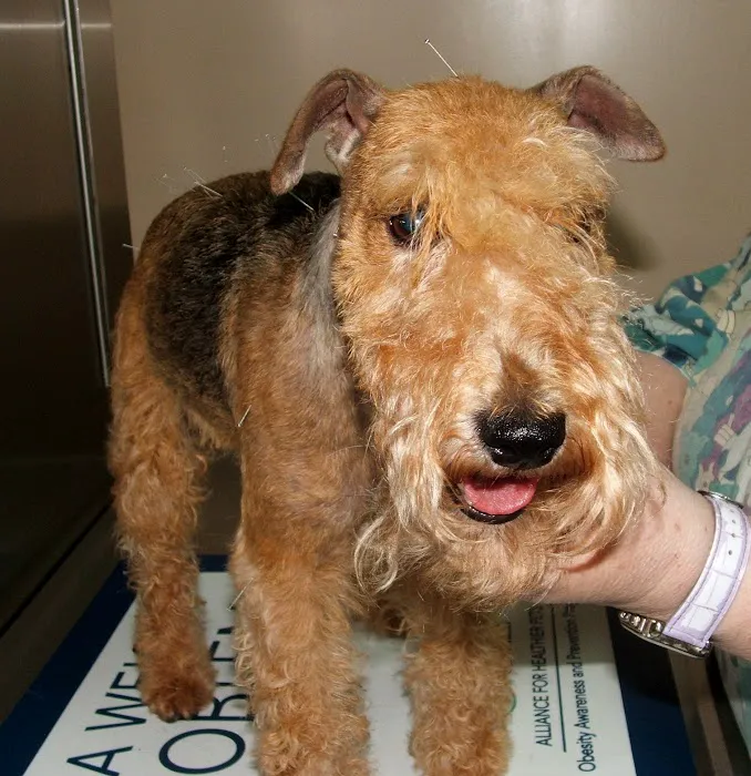 Fox Ridge Veterinary Clinic Picture 9