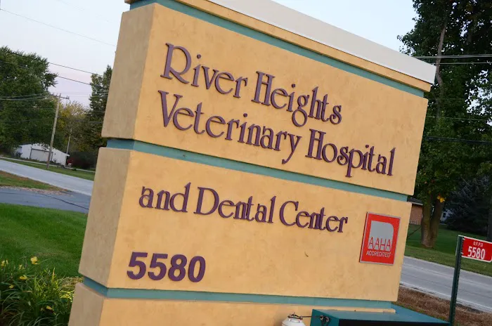 River Heights Veterinary Hospital, A Thrive Pet Healthcare Partner Picture 4