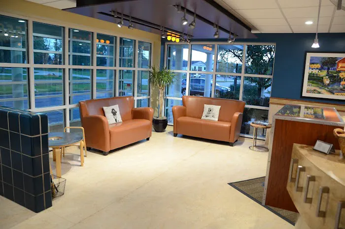 River Heights Veterinary Hospital, A Thrive Pet Healthcare Partner Picture 7