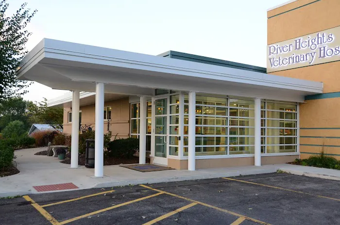 River Heights Veterinary Hospital, A Thrive Pet Healthcare Partner Picture 5