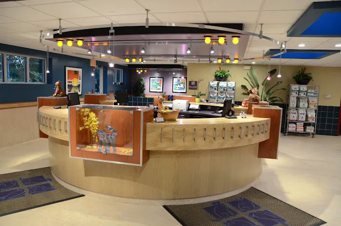 River Heights Veterinary Hospital, A Thrive Pet Healthcare Partner Picture 8