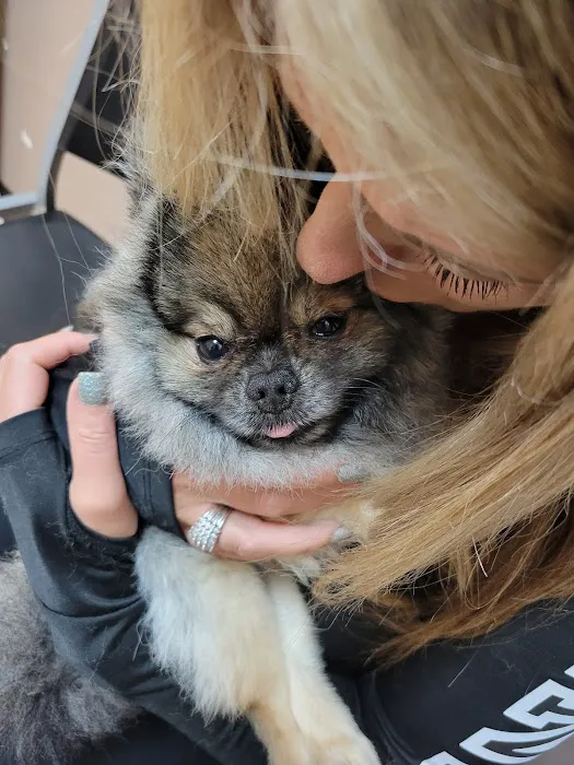 Crossroads Animal Hospital Picture 5