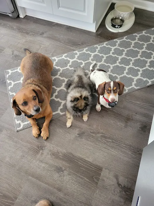 Crossroads Animal Hospital Picture 7
