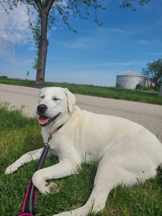 Crossroads Animal Hospital Picture 9