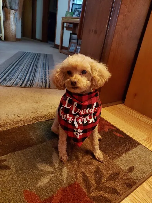 Crossroads Animal Hospital Picture 10
