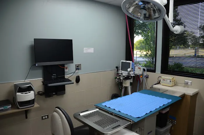 Veterinary Dental Center: S Juriga, DVM, DAVDC; L Sasser, DVM, DAVDC; K Kling, DVM, DAVDC; G Rutkauskas, DVM; MJ Hassan DVM Picture 9