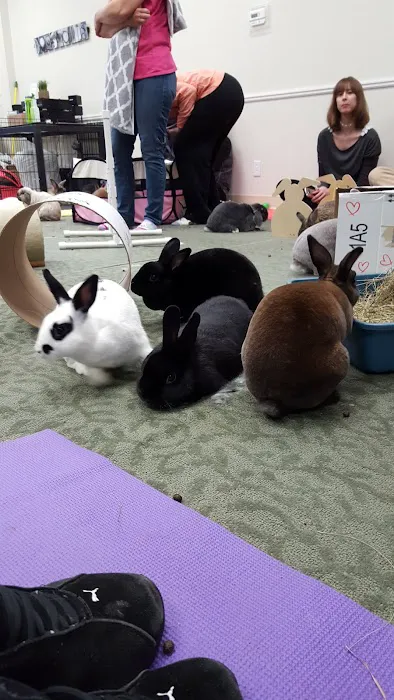 Fox Valley Animal Welfare League Picture 4