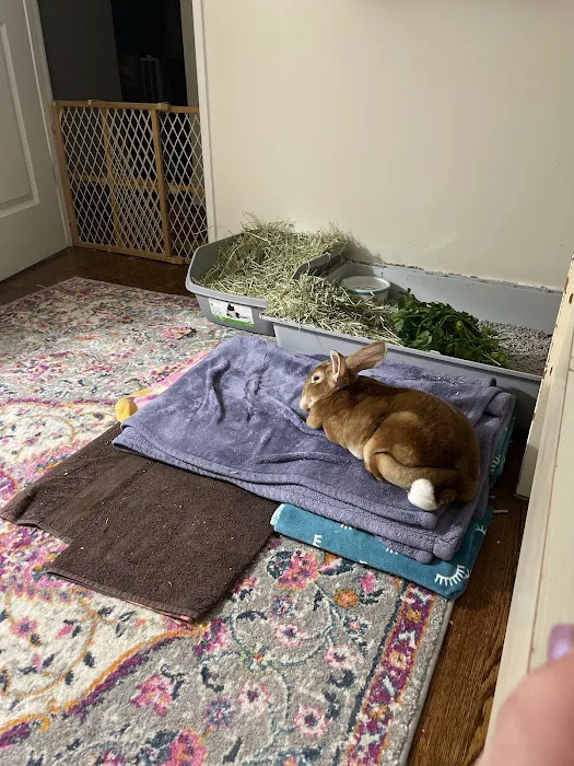 Fox Valley Animal Welfare League Picture 9