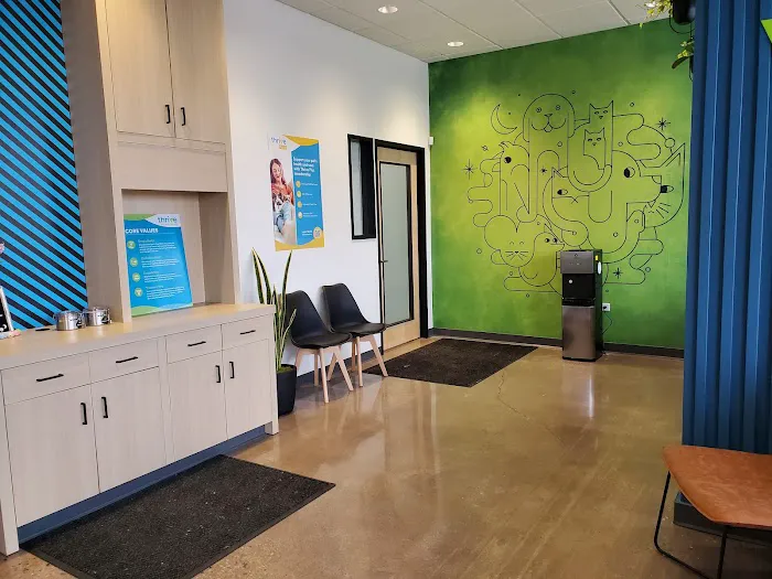 Thrive Pet Healthcare - Village Station (Now Doing Business As Forest View Animal Hospital) Picture 4