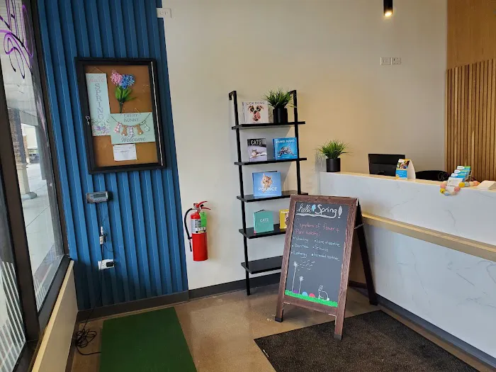 Thrive Pet Healthcare - Village Station (Now Doing Business As Forest View Animal Hospital) Picture 8