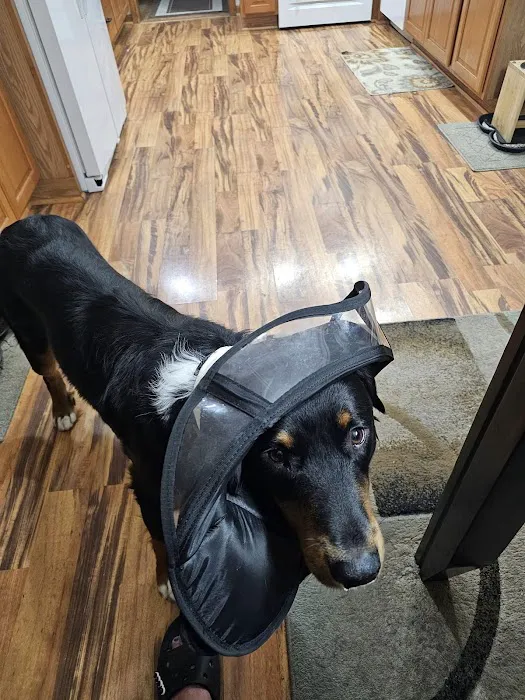 Harper Animal Hospital Picture 5