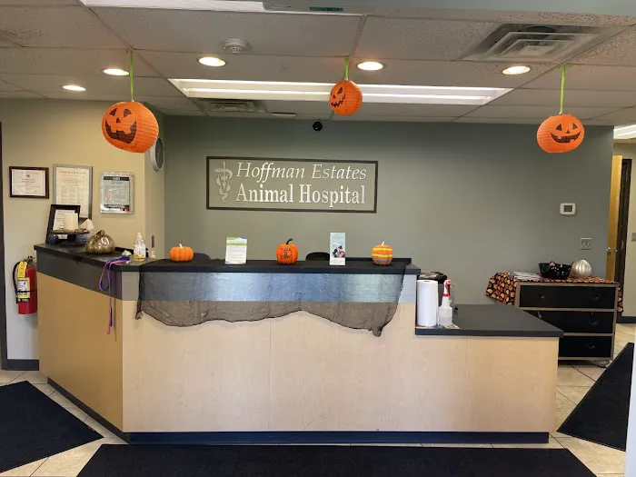 Hoffman Estates Animal Hospital, A Thrive Pet Healthcare Partner Picture 1