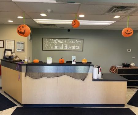 Hoffman Estates Animal Hospital, A Thrive Pet Healthcare Partner
