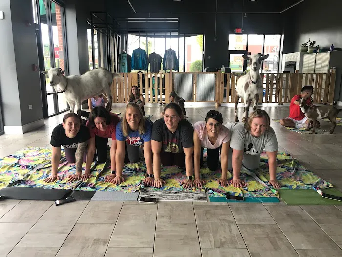 Hoffman Estates Animal Hospital, A Thrive Pet Healthcare Partner Picture 4