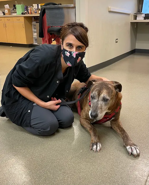 Hoffman Estates Animal Hospital, A Thrive Pet Healthcare Partner Picture 3